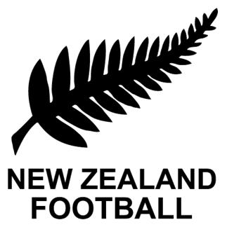 Resultado de imagen para logo nueva zelanda futbol png