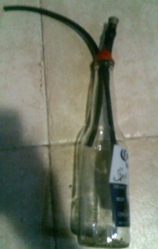 Te enseo a hacer una pipahitter casero con zanahoria. - Taringa