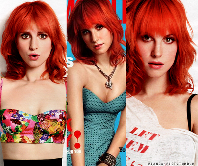 hayley hayley
